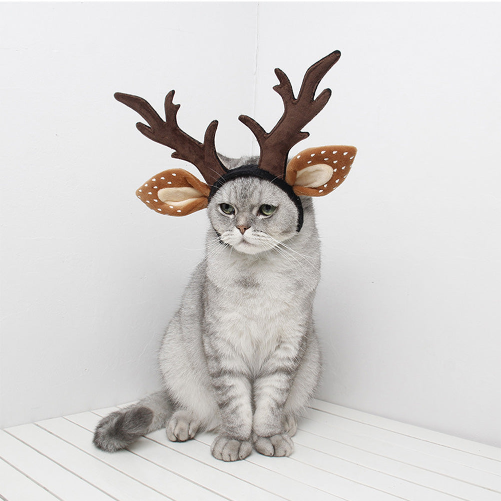 Halloween Karneval Kostüm Zubehör Haustier Weihnachten Katze Hund Fee Geweih Hut Stirnband