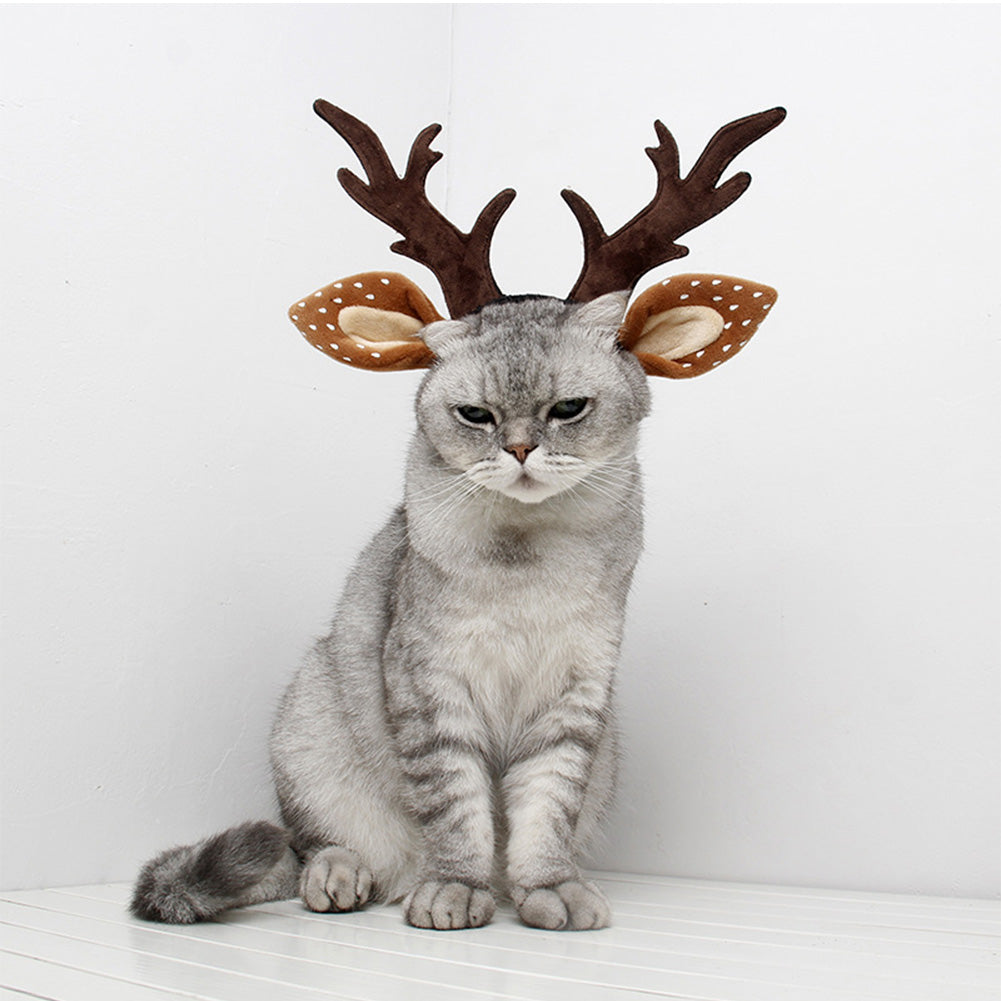 Halloween Karneval Kostüm Zubehör Haustier Weihnachten Katze Hund Fee Geweih Hut Stirnband